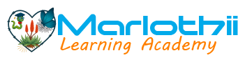 Marlothii Learning Academy