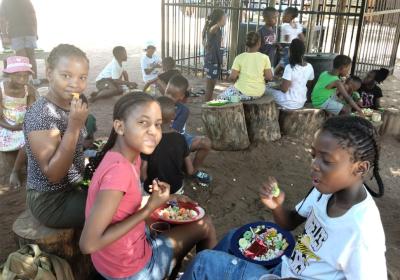 503222449 1293940006073212 7496371200807642708 N